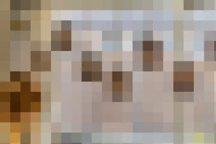 Kleine Ronduit 35 Tiel thumbnail 14