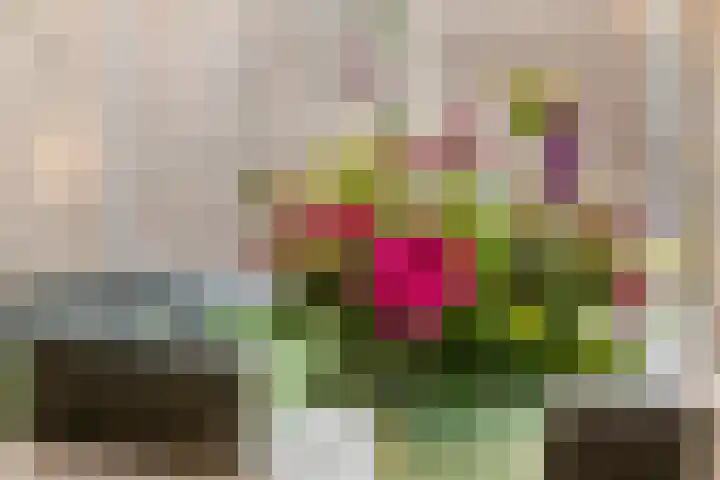 Kleine Ronduit 35 Tiel thumbnail 17
