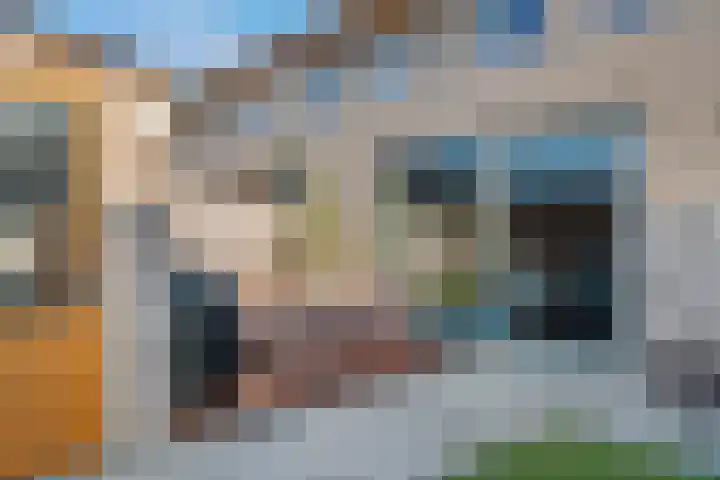 Kleine Ronduit 35 Tiel thumbnail 19