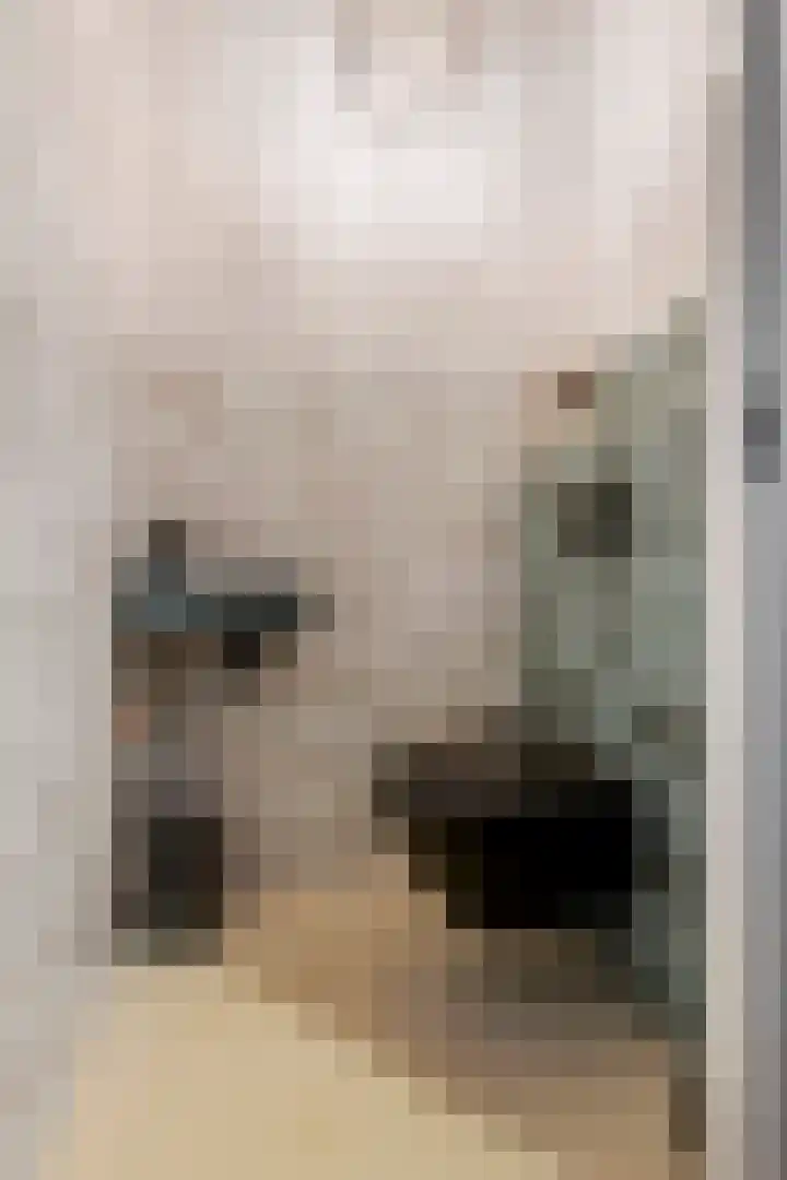 Kleine Ronduit 35 Tiel thumbnail 26