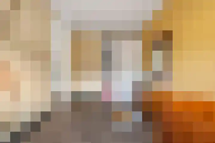 Kleine Ronduit 35 Tiel thumbnail 33