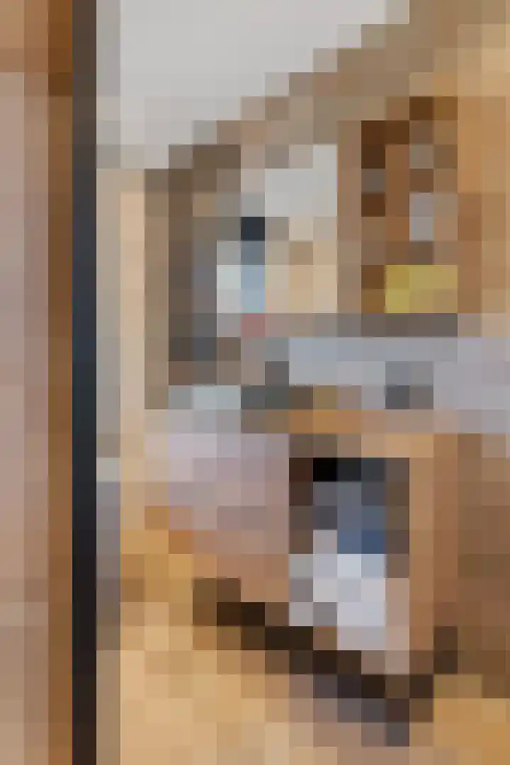 Kleine Ronduit 35 Tiel thumbnail 38
