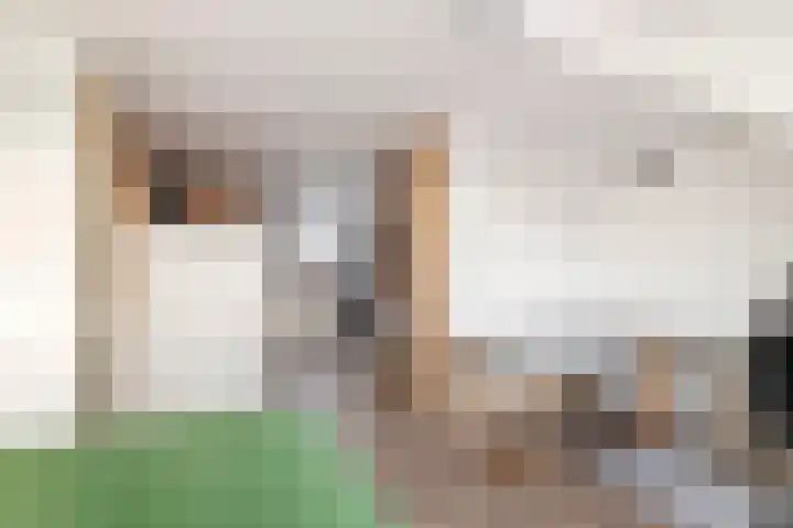 Kleine Ronduit 35 Tiel thumbnail 39