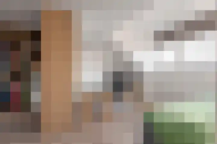 Kleine Ronduit 35 Tiel thumbnail 41