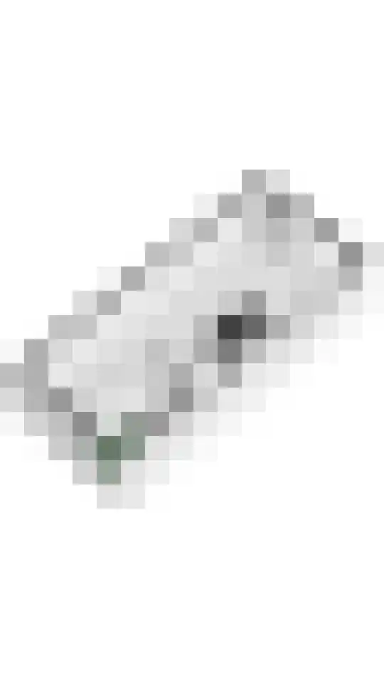 Kleine Ronduit 35 Tiel thumbnail 47