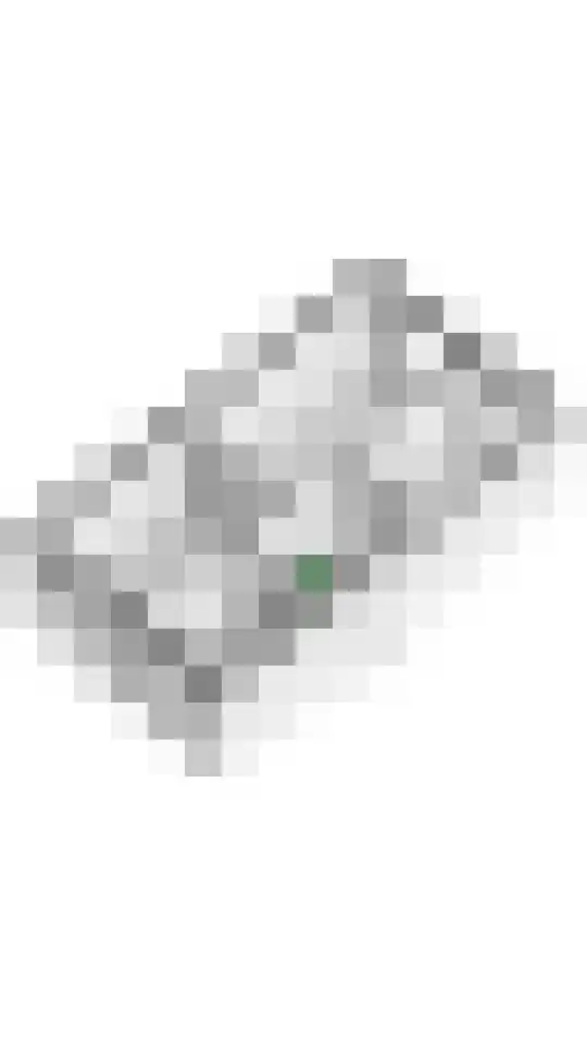 Kleine Ronduit 35 Tiel thumbnail 49