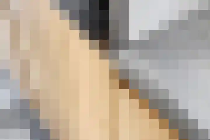 Kleine Ronduit 35 Tiel thumbnail 6