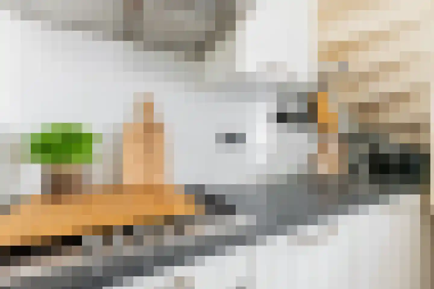Kleine Rozenstraat 42 Groningen thumbnail 11