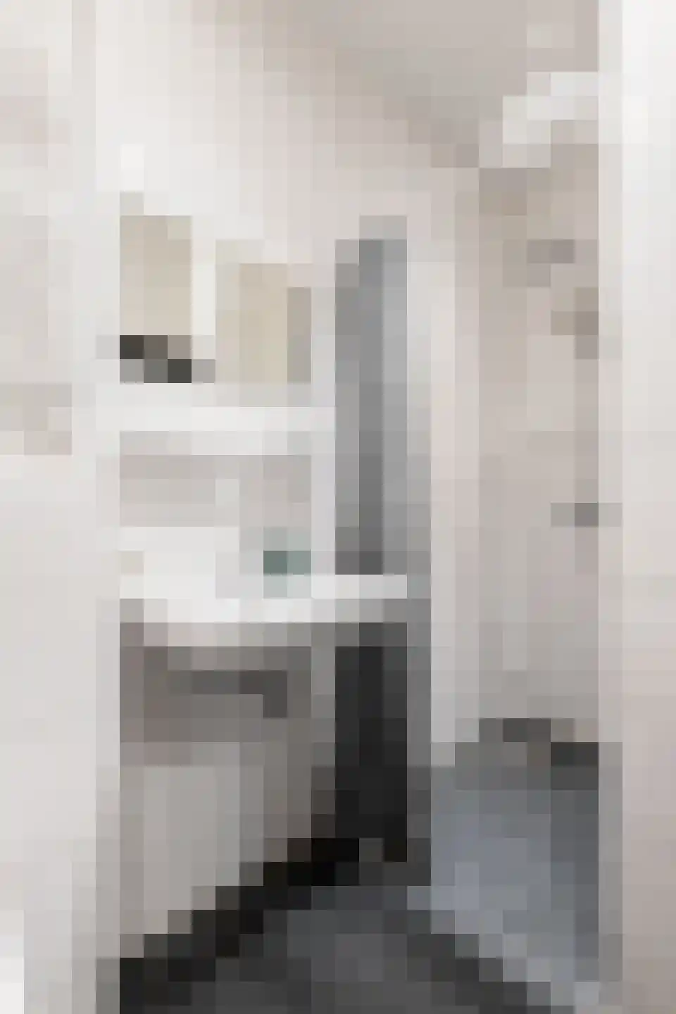 Kleine Rozenstraat 42 Groningen thumbnail 15