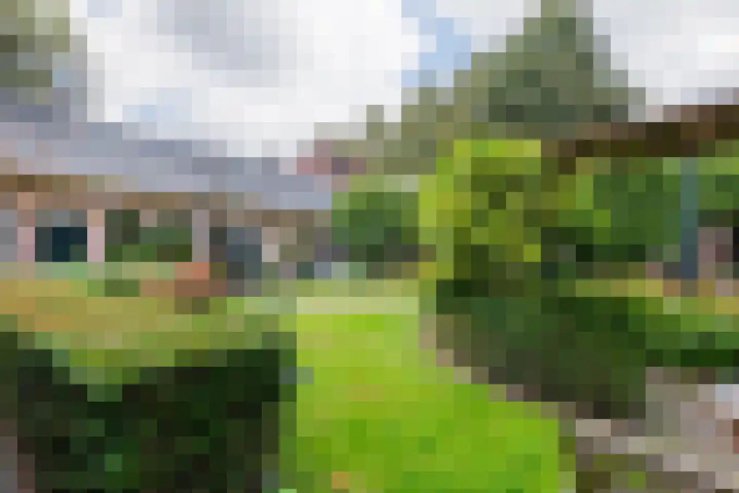Kleine Rozenstraat 42 Groningen thumbnail 25