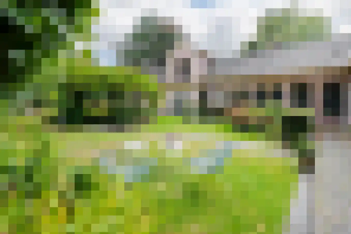 Kleine Rozenstraat 42 Groningen thumbnail 4