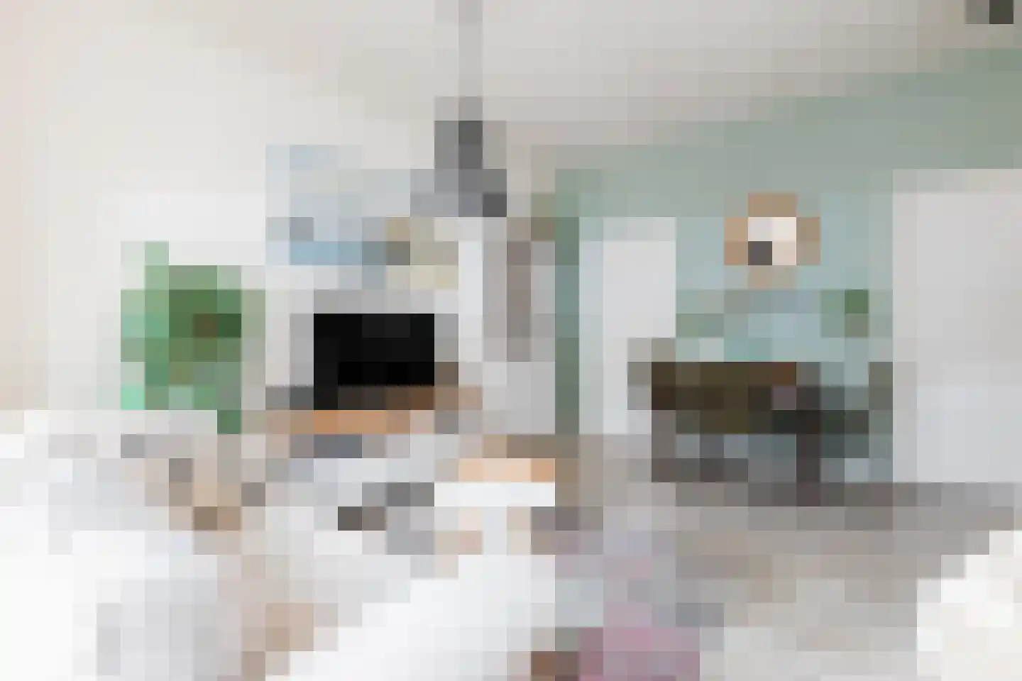 Kleine Rozenstraat 42 Groningen thumbnail 8