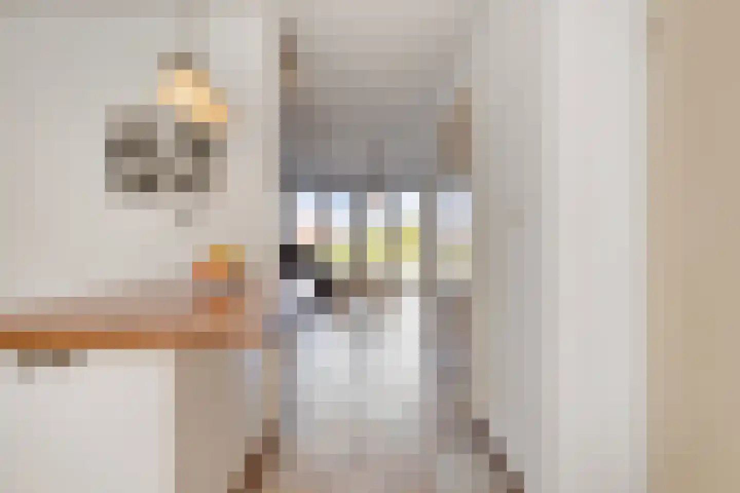 Kleine sluis 10 Wemeldinge thumbnail 31