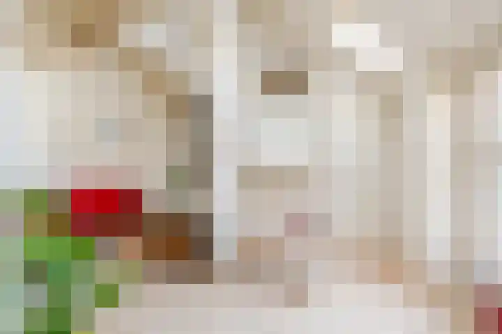 Kleine Sophiastraat 11 Groningen thumbnail 16
