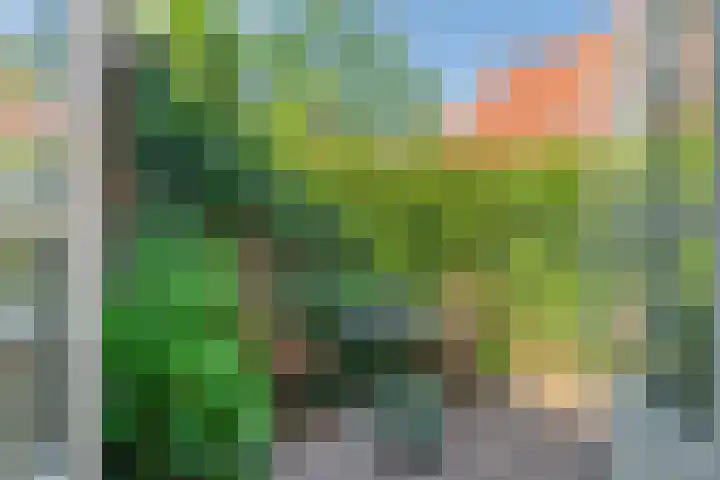 Kleine Sophiastraat 11 Groningen thumbnail 27