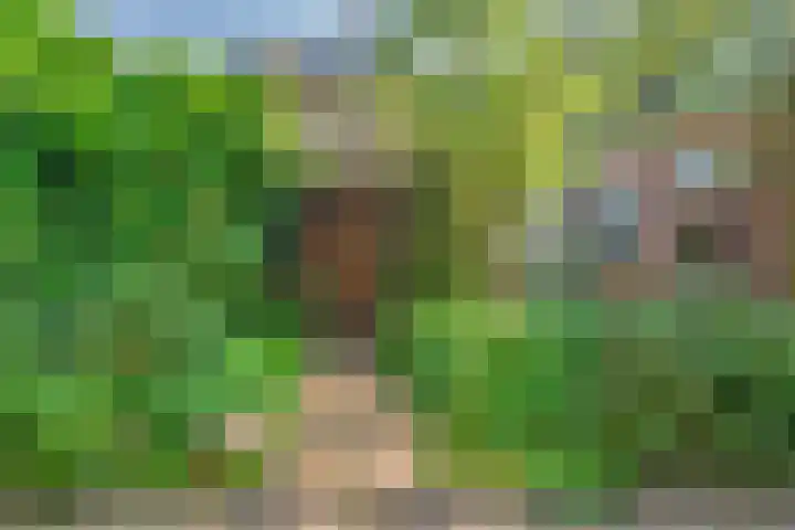Kleine Sophiastraat 11 Groningen thumbnail 29