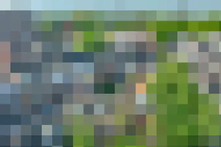 Kleine Sophiastraat 11 Groningen thumbnail 31