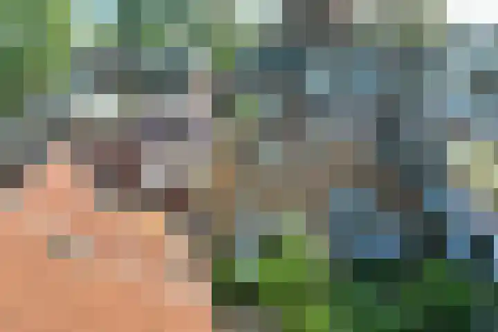 Kleine Sophiastraat 11 Groningen thumbnail 32