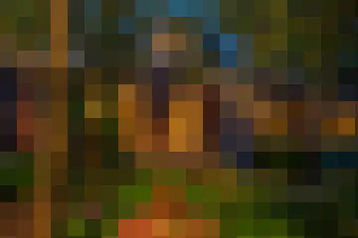 Kleine Sophiastraat 11 Groningen thumbnail 4