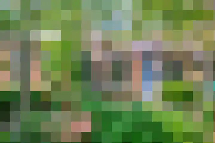 Kleine Sophiastraat 11 Groningen thumbnail 5