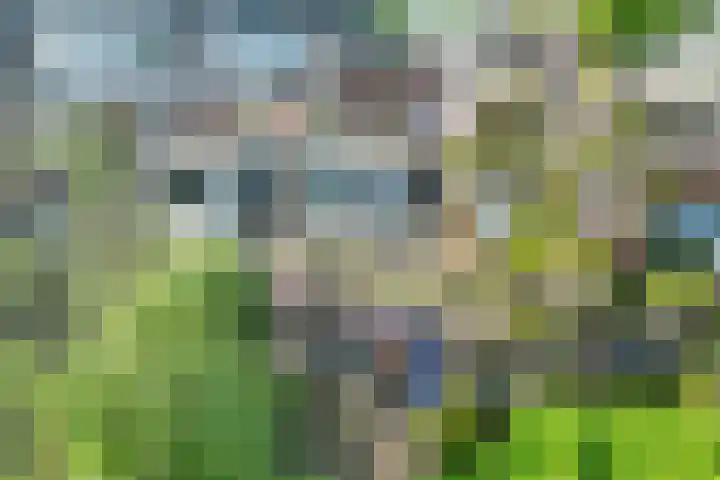 Kleine Sophiastraat 11 Groningen thumbnail 6