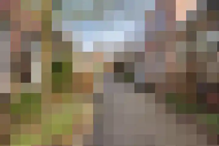 Kleine Sophiastraat 17 Groningen thumbnail 19