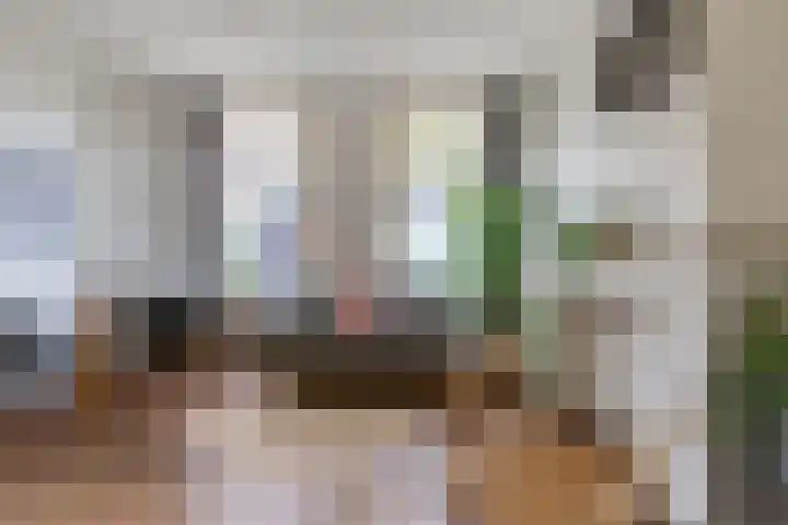 Kleine Sophiastraat 2 Groningen thumbnail 14