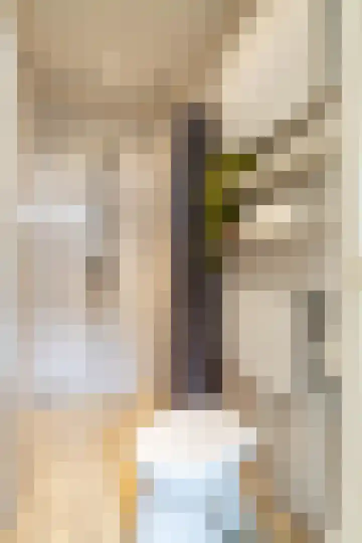 Kleine Sophiastraat 2 Groningen thumbnail 18