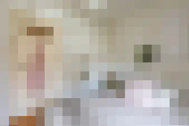 Kleine Sophiastraat 2 Groningen thumbnail 24
