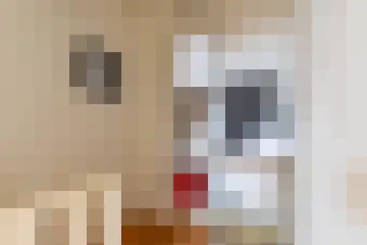 Kleine Sophiastraat 2 Groningen thumbnail 25