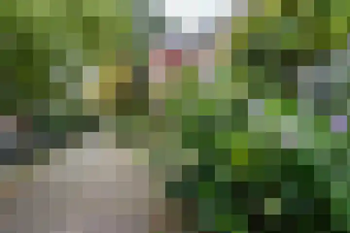 Kleine Sophiastraat 2 Groningen thumbnail 27
