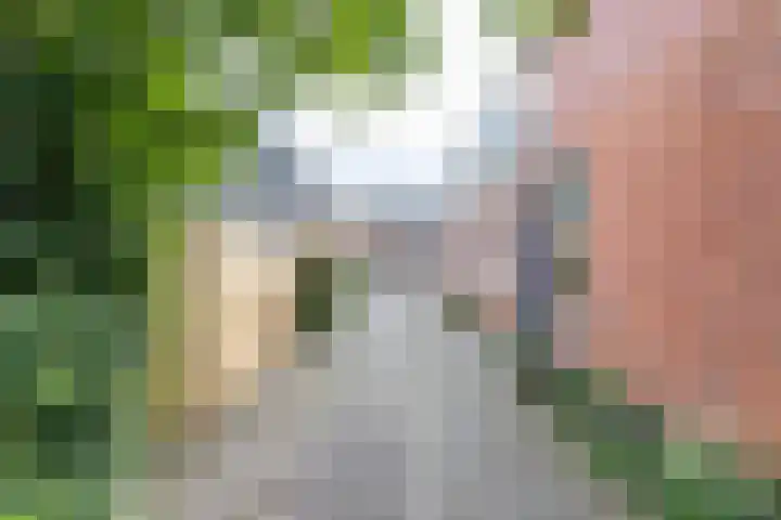 Kleine Sophiastraat 2 Groningen thumbnail 28