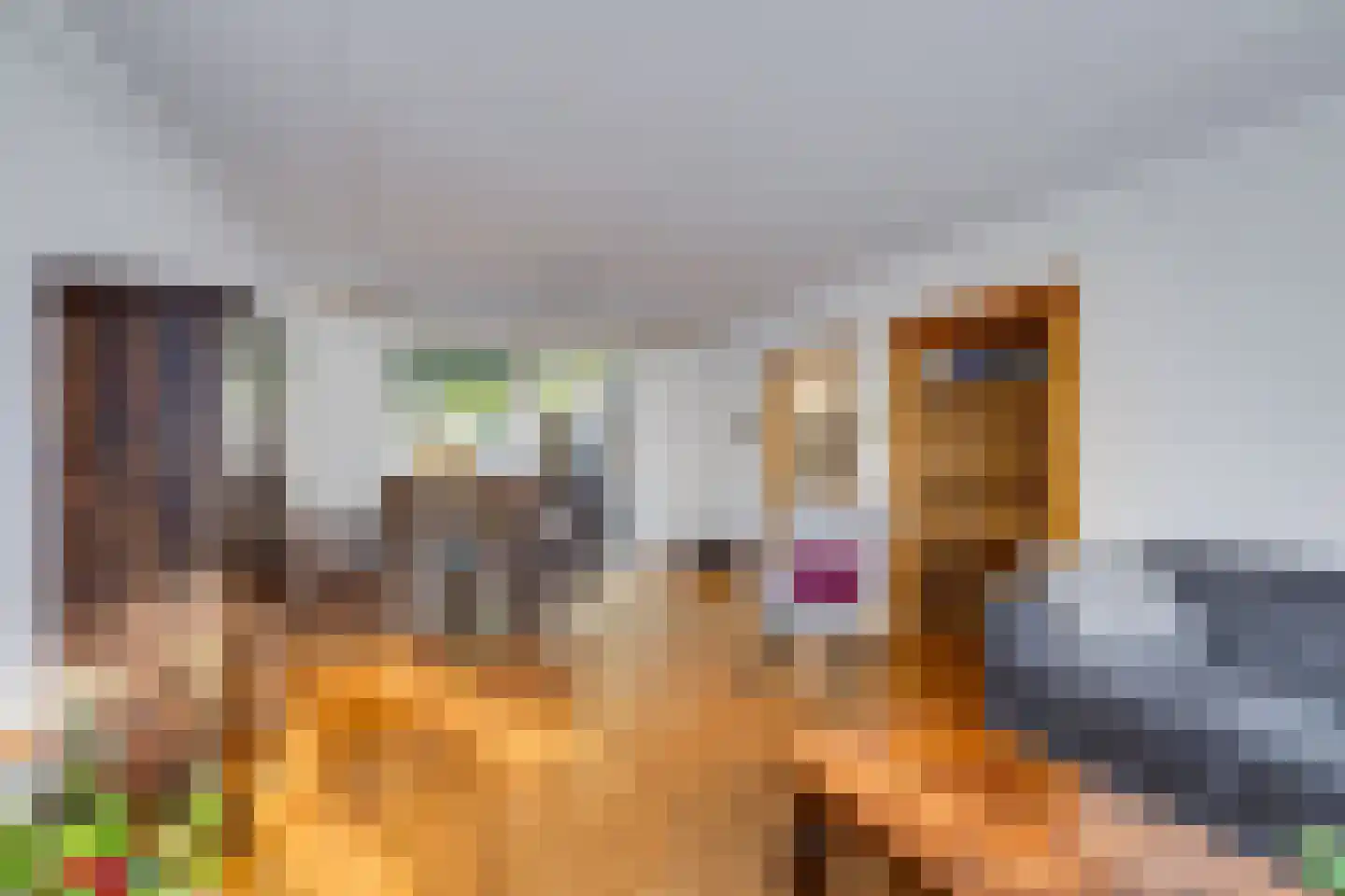 Kleine Spie 13 Rijen thumbnail 17