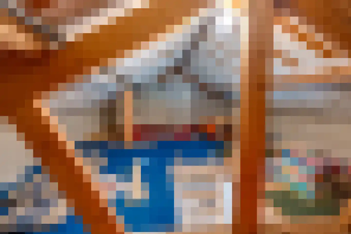 Kleine Spie 13 Rijen thumbnail 43