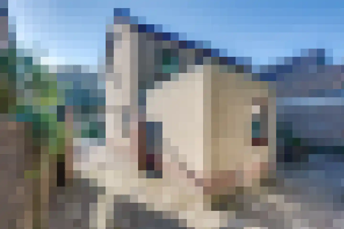 Kleine Spie 13 Rijen thumbnail 49