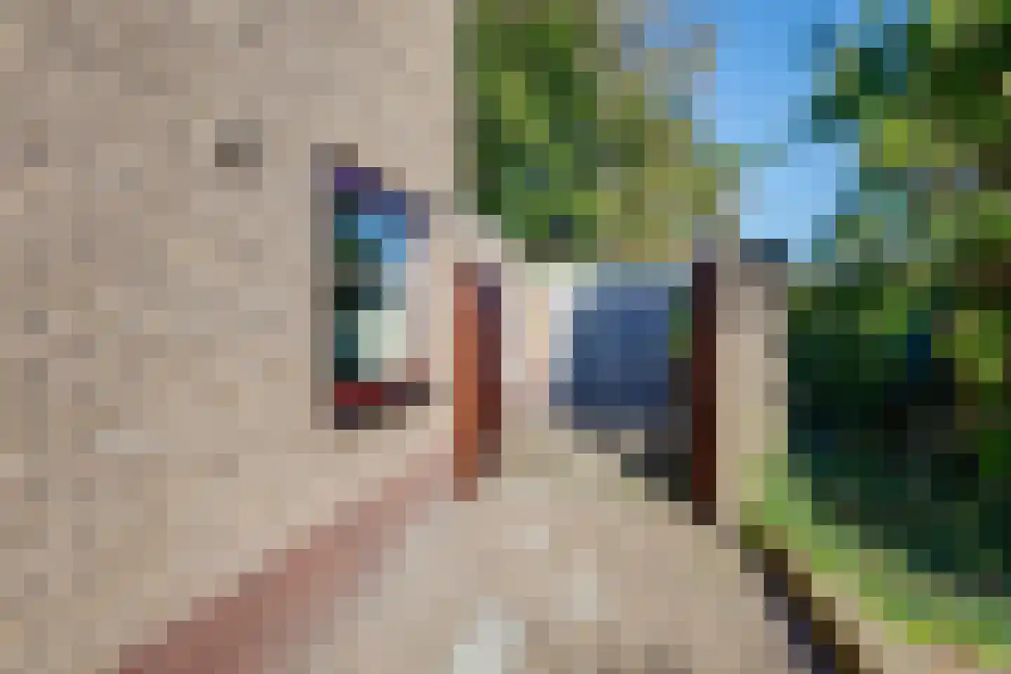 Kleine Spie 13 Rijen thumbnail 58
