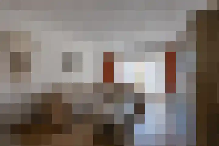 Kleine Spie 6 Rijen thumbnail 10
