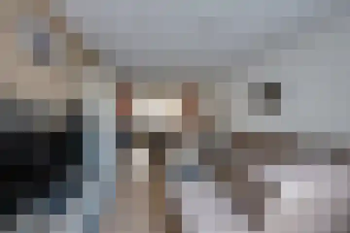 Kleine Spie 6 Rijen thumbnail 14