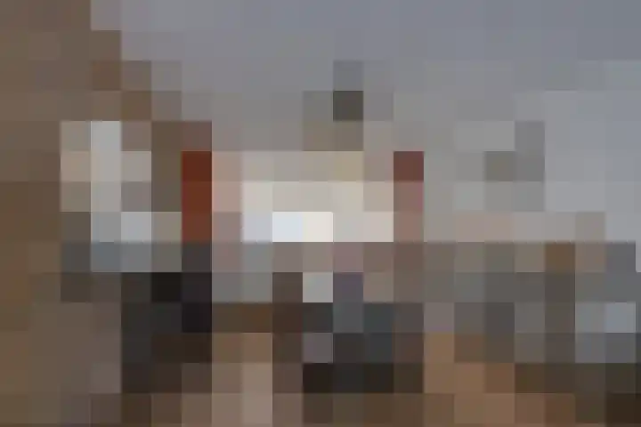 Kleine Spie 6 Rijen thumbnail 15