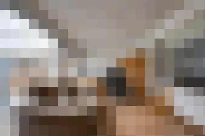 Kleine Spie 6 Rijen thumbnail 17