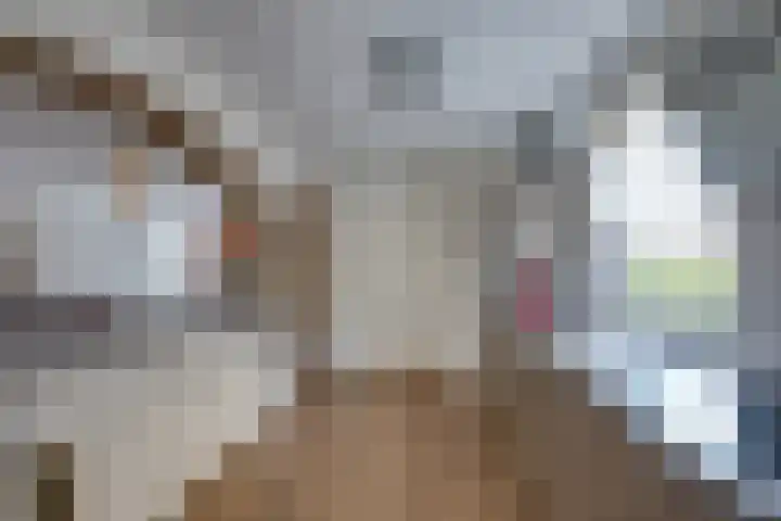 Kleine Spie 6 Rijen thumbnail 19