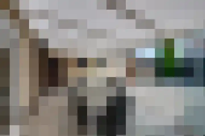 Kleine Spie 6 Rijen thumbnail 25