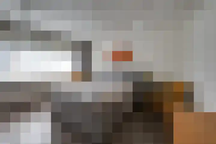 Kleine Spie 6 Rijen thumbnail 27