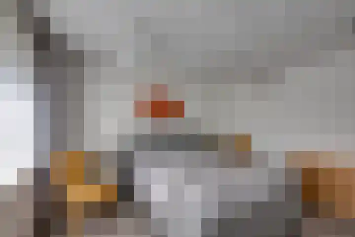 Kleine Spie 6 Rijen thumbnail 28