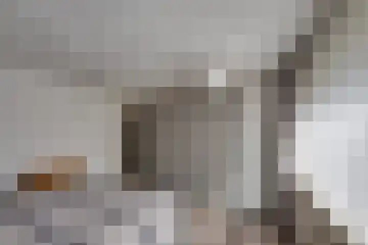 Kleine Spie 6 Rijen thumbnail 29