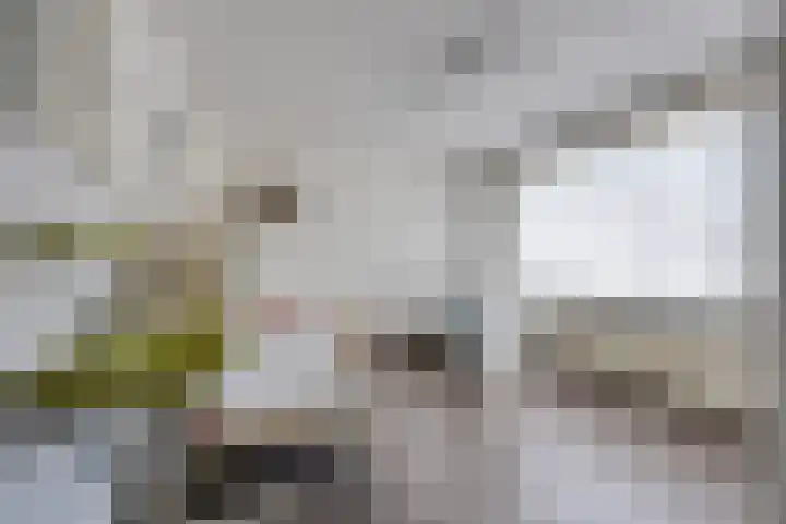Kleine Spie 6 Rijen thumbnail 30
