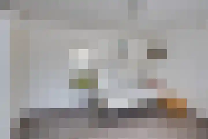 Kleine Spie 6 Rijen thumbnail 31