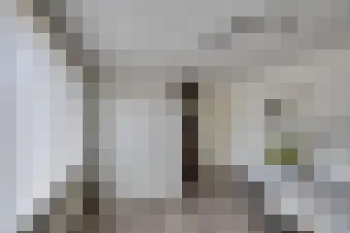 Kleine Spie 6 Rijen thumbnail 32