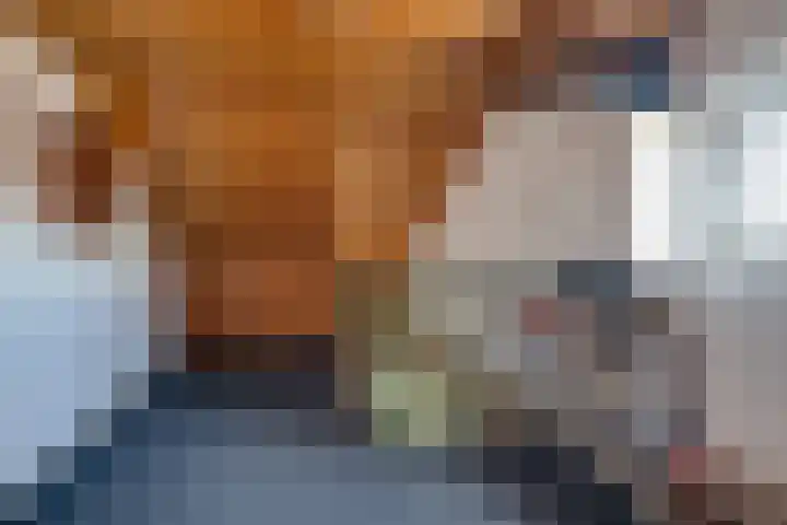 Kleine Spie 6 Rijen thumbnail 40