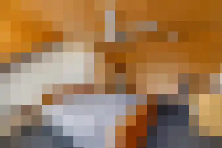 Kleine Spie 6 Rijen thumbnail 43